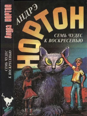 Андрэ Нортон Семь чудес к воскресенью: Мир звёздных ко’отов. Семь чудес к воскресенью. Волшебный дом обложка книги