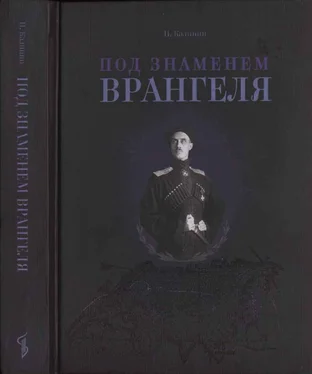 Иван Калинин Под знаменем Врангеля: заметки бывшего военного прокурора обложка книги