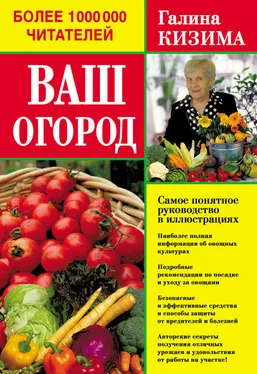 Галина Кизима Ваш огород. Самое понятное руководство в иллюстрациях обложка книги