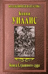 Конни Уиллис - Книга Страшного суда