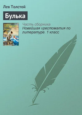 Лев Толстой Булька обложка книги