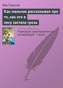 Лев Толстой Как мальчик рассказывал про то, как его в лесу застала гроза обложка книги