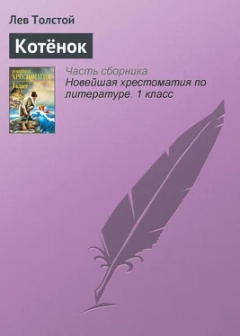 Лев Толстой Котёнок обложка книги