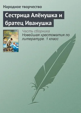 Народное творчество Сестрица Алёнушка и братец Иванушка обложка книги