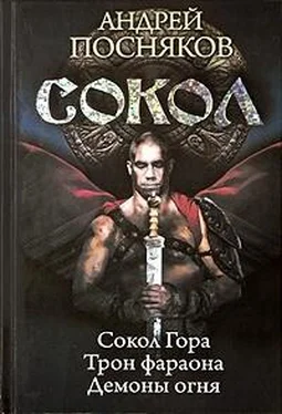 Андрей Посняков Сокол. Трилогия обложка книги