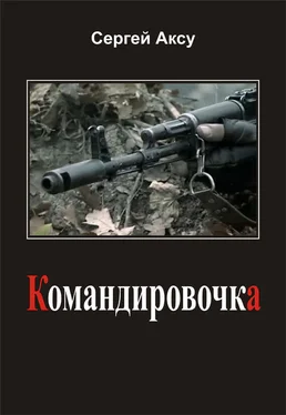 Сергей Аксу Командировочка обложка книги