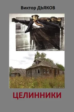 Виктор Дьяков Целинники обложка книги