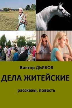 Виктор Дьяков Дела житейские (сборник)