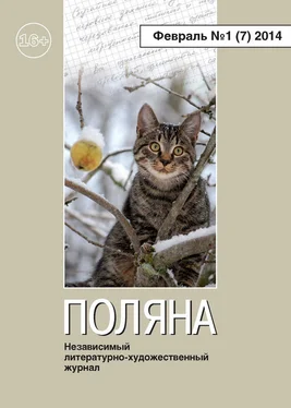 Коллектив авторов Поляна №1 (7), февраль 2014 обложка книги