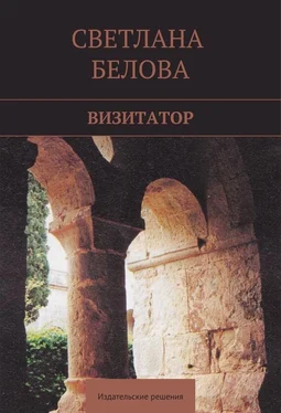 Светлана Белова Визитатор обложка книги