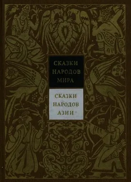 Николай Никулин Сказки народов Азии обложка книги