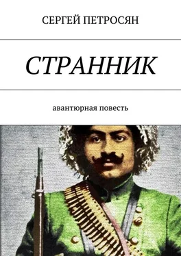 Сергей Петросян Странник обложка книги