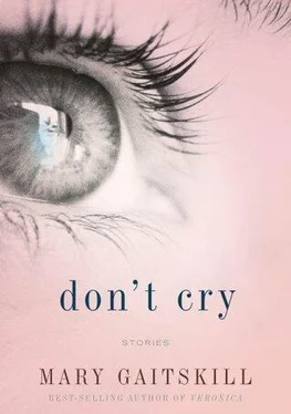 Mary Gaitskill Don't Cry обложка книги