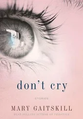 Mary Gaitskill - Don't Cry