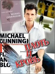 Майкл Каннингем - Плоть и кровь