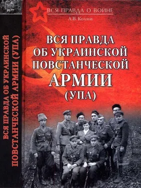 Андрей Козлов Вся правда об Украинской повстанческой армии обложка книги