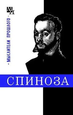 Василий Соколов Спиноза обложка книги