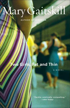 Mary Gaitskill Two Girls, Fat and Thin обложка книги