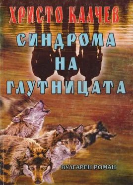 Христо Калчев Синдрома на глутницата (Вулгарен роман) обложка книги