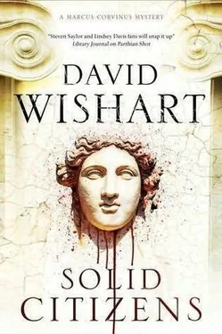 David Wishart Solid Citizens обложка книги