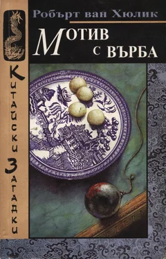 Роберт Хюлик Мотив с върба обложка книги