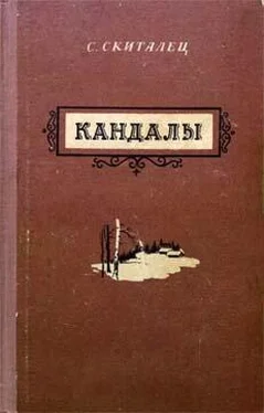Скиталец Кандалы обложка книги