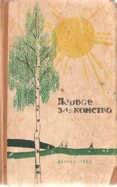 Алексей Сочев Первое знакомство (сборник) обложка книги