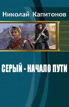 Капитонов Николай Серый - начало пути обложка книги