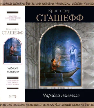 Кристофер Сташефф Чародей поневоле обложка книги