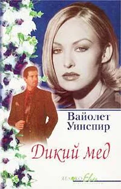 Вайолет Уинспир Дикий мед обложка книги