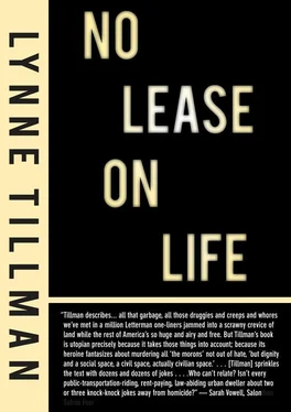 Lynne Tillman No Lease on Life обложка книги