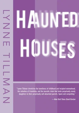 Lynne Tillman Haunted Houses
