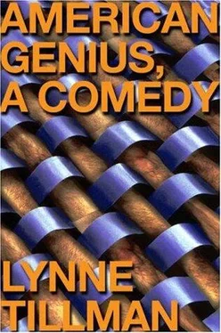 Lynne Tillman American Genius: A Comedy обложка книги