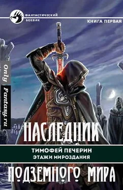 Тимофей Печёрин Наследник подземного мира обложка книги