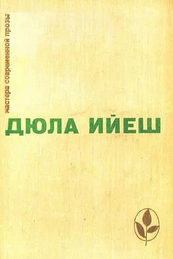 Дюла Ийеш Избранное обложка книги