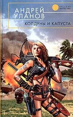 Андрей Уланов Колдуны и капуста обложка книги