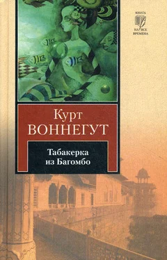 Курт Воннегут-мл Табакерка из Багомбо обложка книги