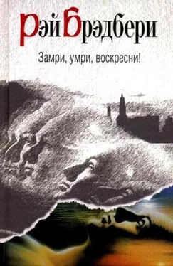 Рэй Дуглас Брэдбери Замри, умри, воскресни! обложка книги