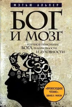 Мэтью Альпер Бог и мозг: Научное объяснение Бога, религиозности и духовности обложка книги