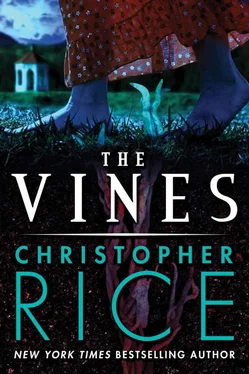 Christopher Rice The Vines обложка книги