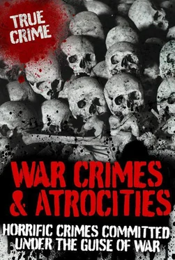 Janice Anderson War Crimes and Atrocities обложка книги