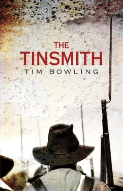Tim Bowling The Tinsmith обложка книги