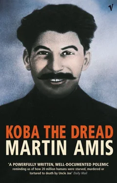 Martin Amis Koba the Dread обложка книги