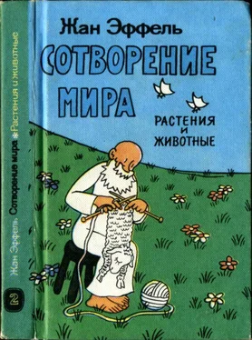 Жан Эффель Сотворение мира. Растения и животные. Вып. 2 обложка книги