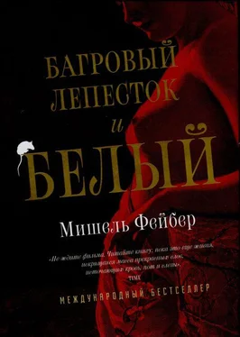 Мишель Фейбер Багровый лепесток и белый обложка книги