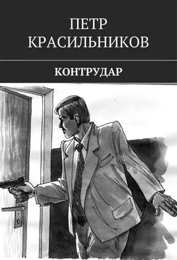 Петр Красильников Контрудар обложка книги