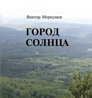 Виктор Меркушев Город солнца обложка книги