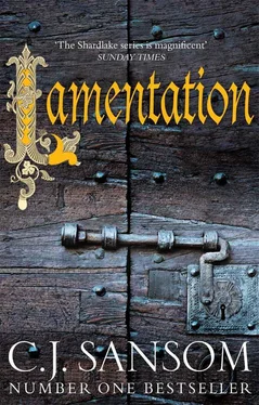 C. Sansom Lamentation обложка книги