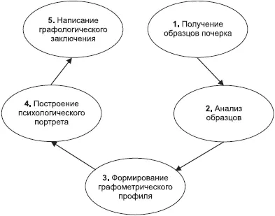Рис 177 Рассмотрим шаги графологического анализа в контексте их - фото 192