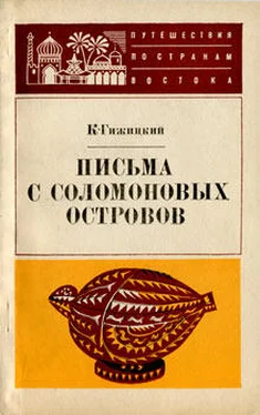 Камил Гижицкий Письма с Соломоновых островов обложка книги